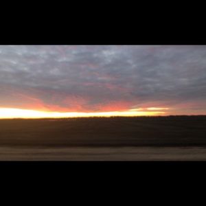 Meet your Posher, Elyssia